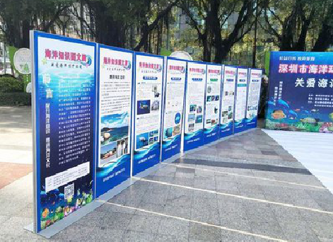  常山KT板的种类和知识。